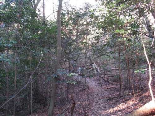 登山道
